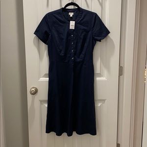 J. Crew Dress